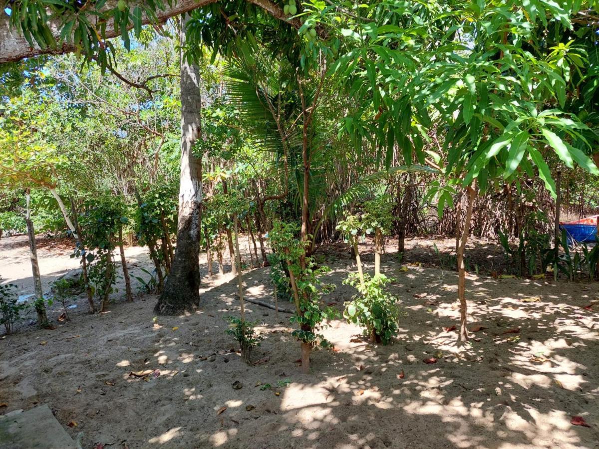 Cabana Playa Cambiaso Bed and Breakfast Puerto Plata Exterior foto